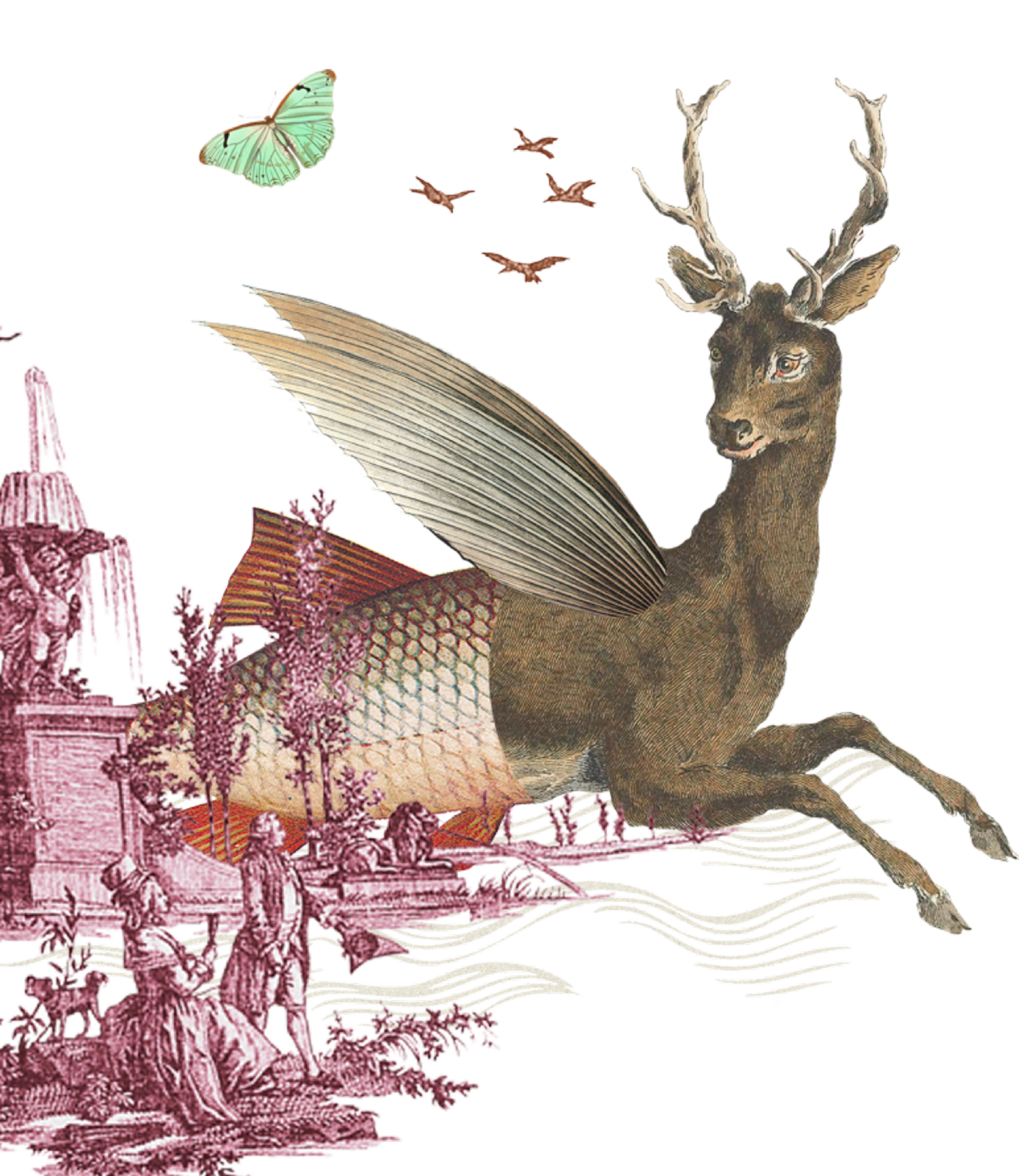 02 sea ​horse@3x 1 1