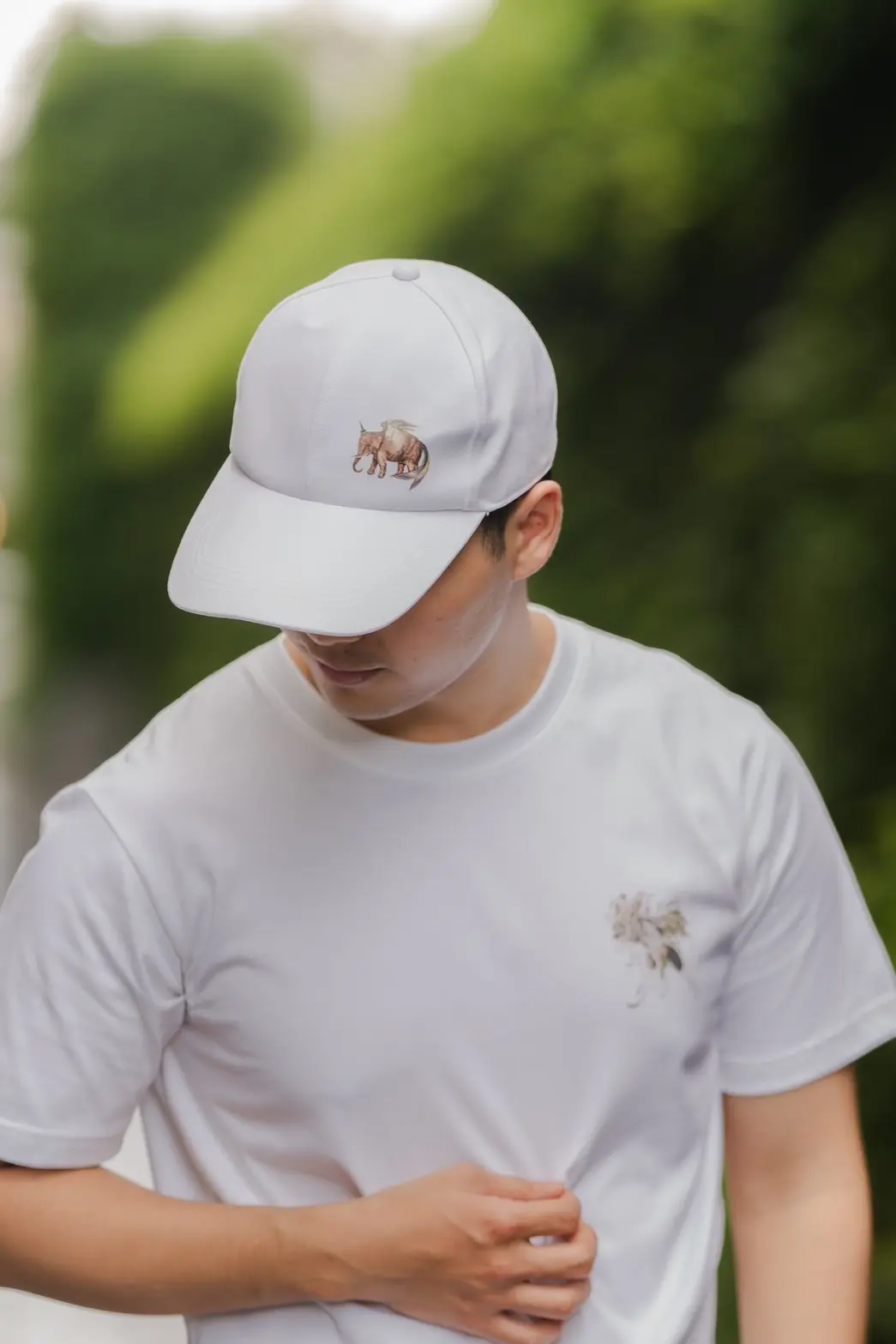 box image home page 1