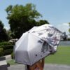 Umbrella1